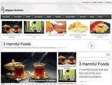 Tablet Screenshot of bilgininanahtari.net